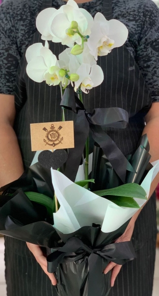 Orquídea Branca Time Corinthians