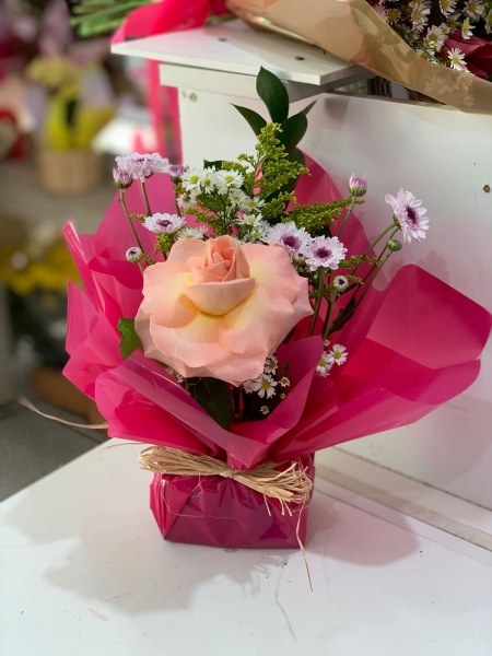 Mimo de Rosa cor de Rosa